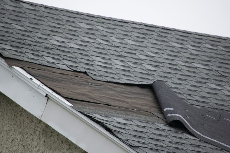 Asphalt Roof Repair Image 6